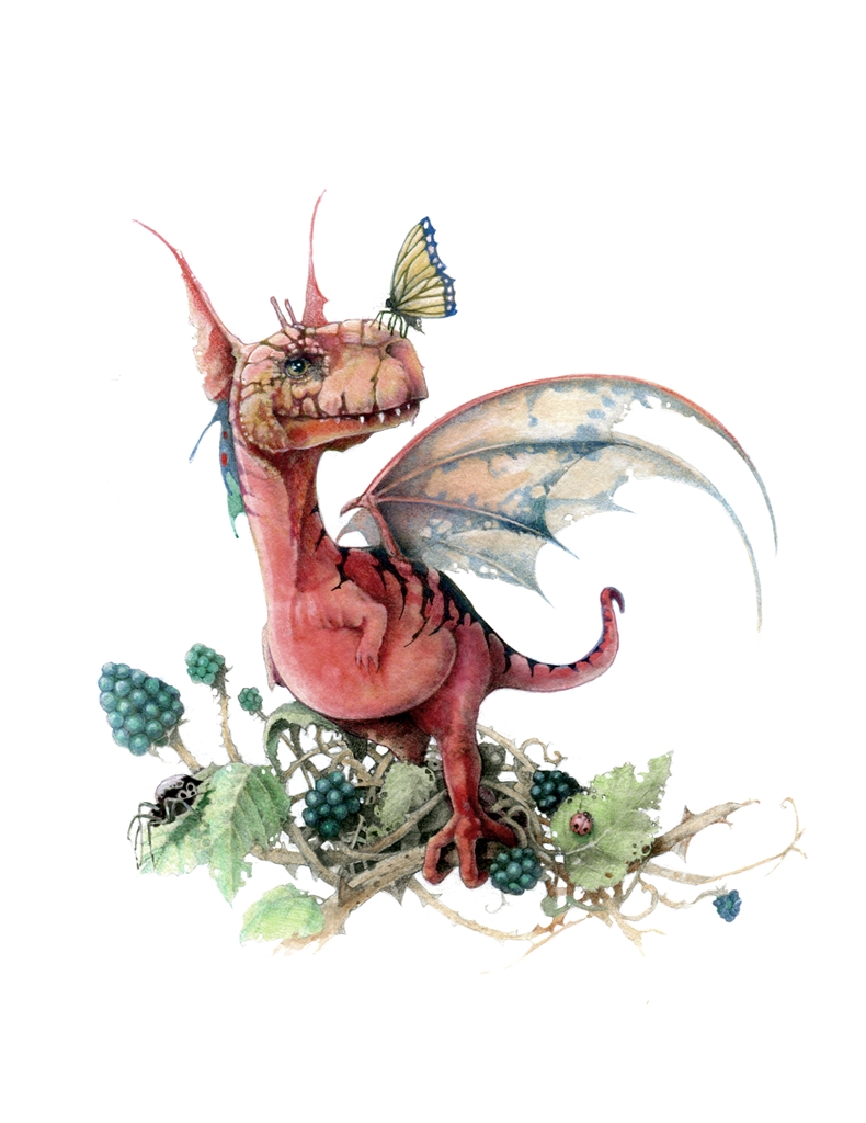 Watercolour drawing of tiny red dragon sitting on a blackberry bush